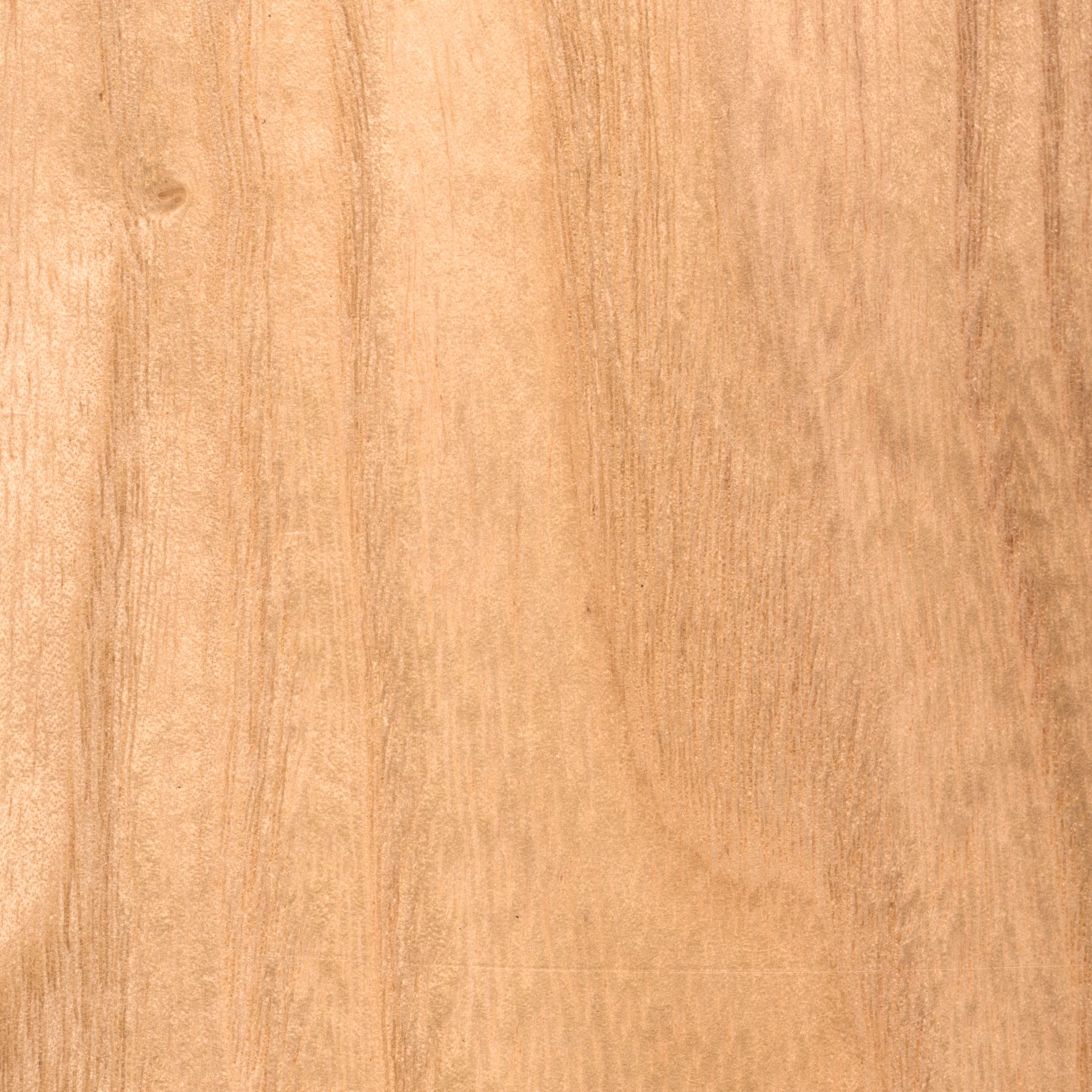 Matthews Patricia-3 60" Gloss White Ceil