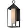 Maxim Aldous 20 3/4" High Black Outdoor Wall Light