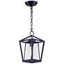 1_Maxim Artisan 13 3/4" High Black Outdoor Hanging Light