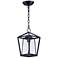 Maxim Artisan 13 3/4" High Black Outdoor Hanging Light