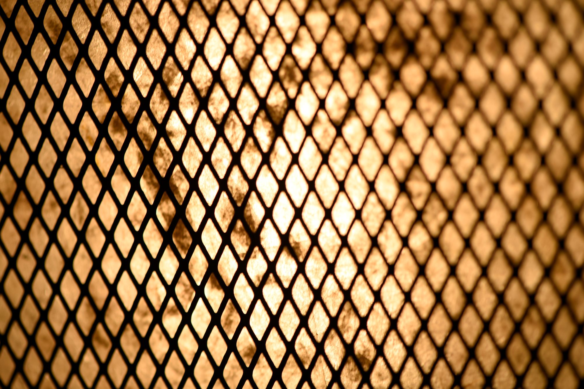 Maxim Boundry 12" W Black Barn Wood 5-Light Linear Pendant in scene