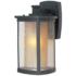 Maxim Bungalow 13 3/4"H Bronze 2-Glass Outdoor Wall Light