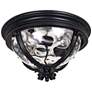 2_Maxim Camden VX 16" Wide Black Outdoor Ceiling Light