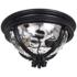 Maxim Camden VX 16" Wide Black Outdoor Ceiling Light