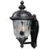 Maxim Carriage House Collection 16" High Outdoor Wall Light