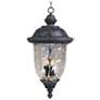 Maxim Carriage House Collection 24 1/2" High Outdoor Hanging Light