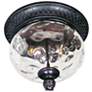 Maxim Carriage House VX 12"W Bronze Outdoor Ceiling Light