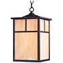 1_Maxim Coldwater 15" Bronze and Honey Glass Outdoor Hanging Light