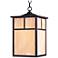 Maxim Coldwater 15" Bronze and Honey Glass Outdoor Hanging Light