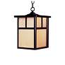 2_Maxim Coldwater 15" Bronze and Honey Glass Outdoor Hanging Light more views