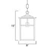 3_Maxim Coldwater 15" Bronze and Honey Glass Outdoor Hanging Light more views