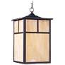 Maxim Coldwater 15" High Burnished&#160;Outdoor Hanging Light