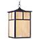 Maxim Coldwater 15" High Burnished Outdoor Hanging Light
