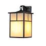 3_Maxim Coldwater 16" High Black Outdoor Lantern Wall Light more views