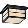 2_Maxim Coldwater 9 1/4" Wide Black Outdoor Ceiling Light