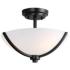 Maxim Deven 14" Wide Black Bowl Ceiling Light