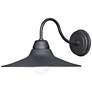 Maxim Dockside 13 3/4" High Black Outdoor Wall Light