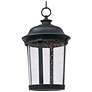 Maxim Dover 16 1/2" High Bronze LED Outdoor Hanging Light