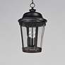 4_Maxim Dover 20" High Bronze Outdoor Hanging Lantern more views