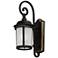 Maxim Dover LED E26 10"H Bronze Outdoor Lantern Wall Light