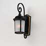 1_Maxim Dover LED E26 10"H Bronze Outdoor Lantern Wall Light