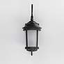 3_Maxim Dover LED E26 10"H Bronze Outdoor Lantern Wall Light more views