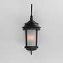 4_Maxim Dover LED E26 10"H Bronze Outdoor Lantern Wall Light more views
