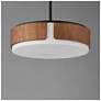 3_Maxim Draughtsman 18" Walnut / Black Semi Flush Mount - Pendant more views