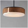 4_Maxim Draughtsman 18" Walnut / Black Semi Flush Mount - Pendant more views