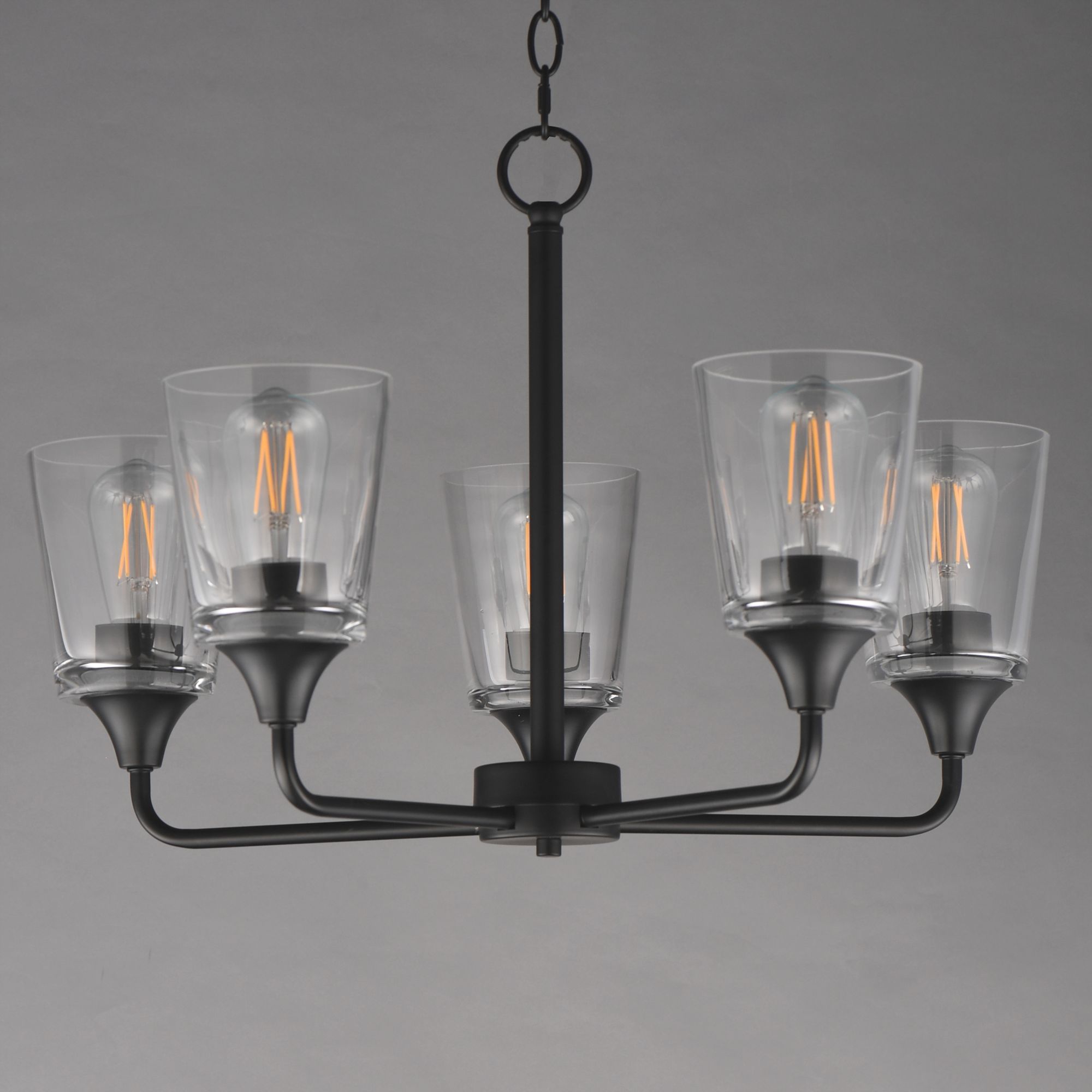 Image 3 Maxim Hudson 24" Wide Clear/Black 5-Light Chandelier more views