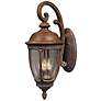Maxim Knob Hill Collection 19 1/2" High Outdoor Wall Light