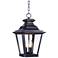 Maxim Knoxville 17 1/2" High Bronze Outdoor Hanging Light