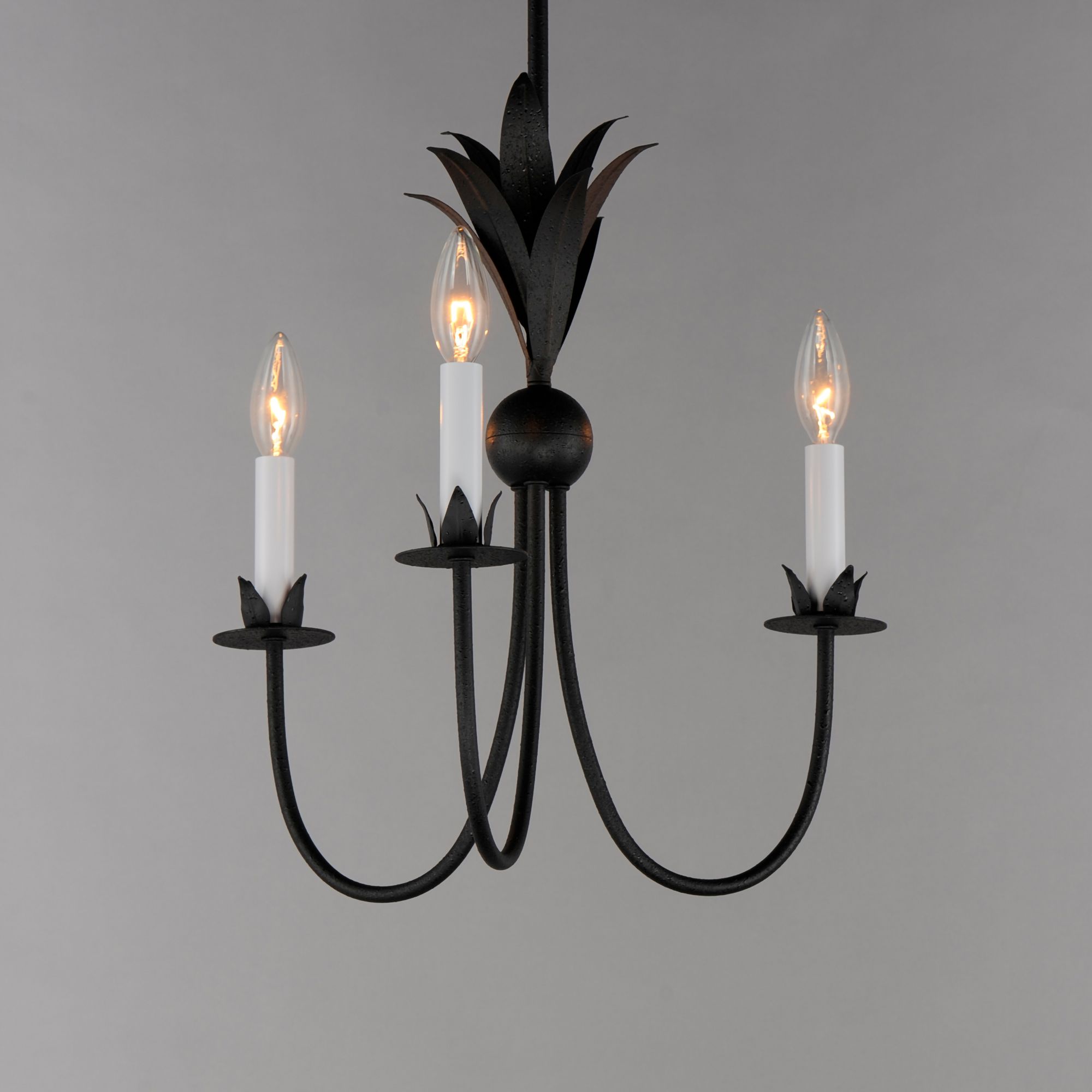 Maxim Lighting Paloma Black Collection