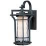 1_Maxim Oakville 17 1/2" High Black Oxide Outdoor Wall Light