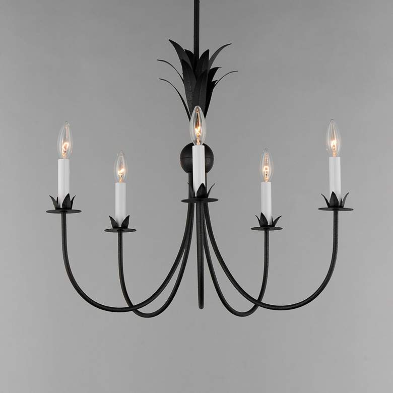 Image 1 Maxim Paloma 26" Wide Anthracite 5-Light Chandelier