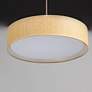 6_Maxim Prime 16" Wide Grass Cloth Shade Modern LED Pendant Light more views