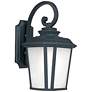Maxim Radcliffe 16 3/4" High Black Oxide Lantern Outdoor Wall Light