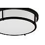 3_Maxim Rogue 13" Wide Black Drum Ceiling Light more views