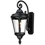 1_Maxim Sentry 22" High Black Outdoor Wall Light