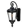 2_Maxim Sentry 22" High Black Outdoor Wall Light more views