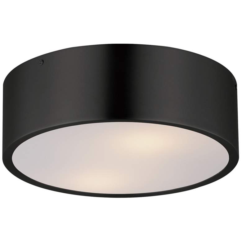 Image 1 Maxim Tommy 12" Black 2-Light Surface Mount