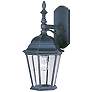 1_Maxim Westlake 19" High Black Outdoor Lantern Wall Light