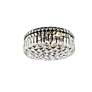 5_Maxime 16" Wide Black Crystal Ceiling Light more views