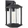 Mccarthy 13 1/2" High Weathered Graphite Outdoor Wall Light