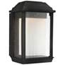 McHenry 11 1/4" High Black LED Outdoor Wall Light
