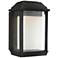 McHenry 11 1/4" High Black LED Outdoor Wall Light