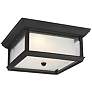 McHenry 13" Wide Textured Black LED Outdoor Ceiling Light