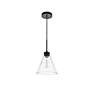 7_Mera 1 Lt Black Pendant more views