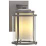 Meridian 10.3"H Burnished Steel Outdoor Sconce w/ Opal and Seeded Shad