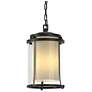 Meridian 15.7"H Large Coastal Black Outdoor Ceiling Fixture